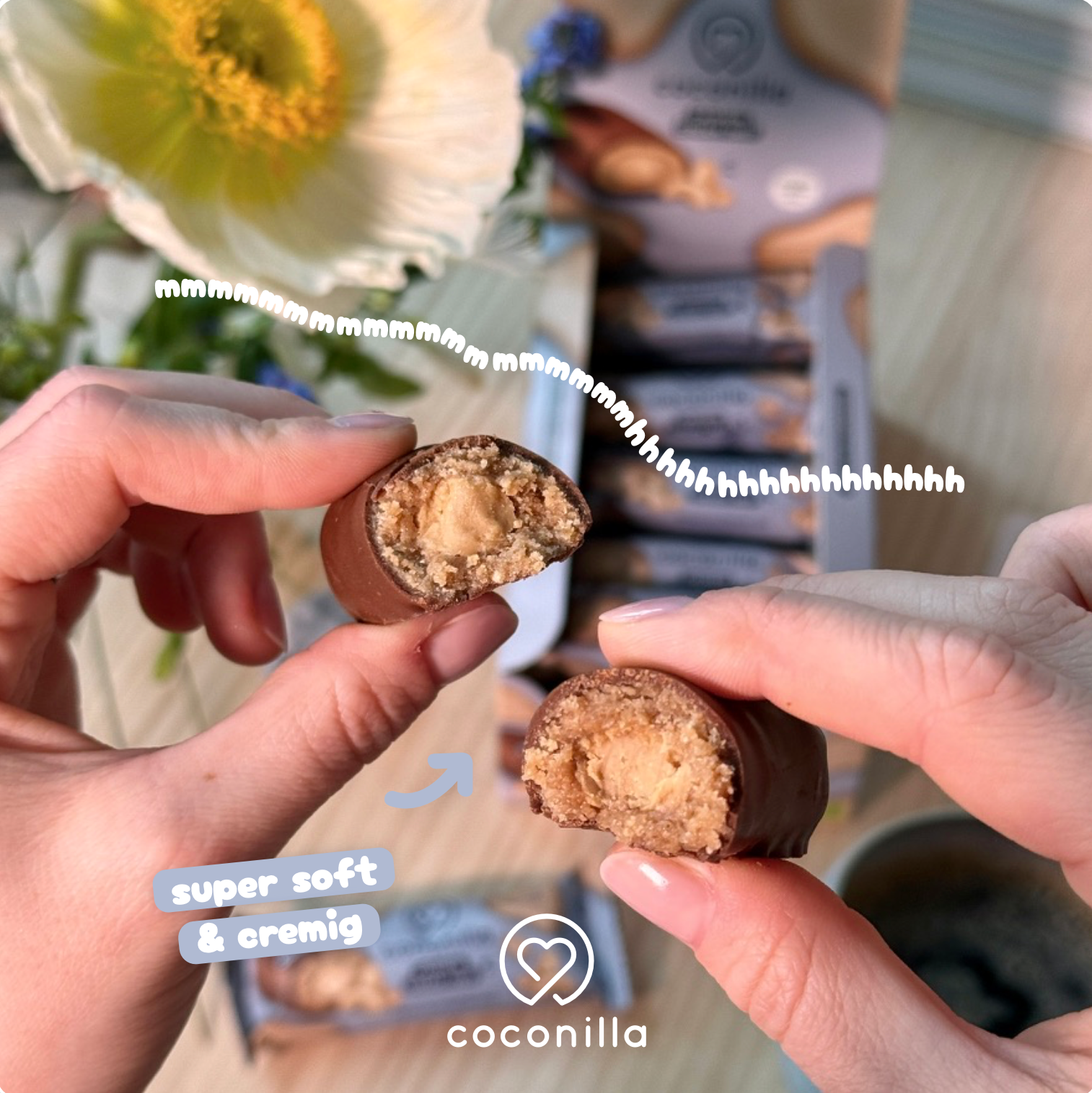 BIO - Cake Bar Cashew Cream Tart - 15er Box