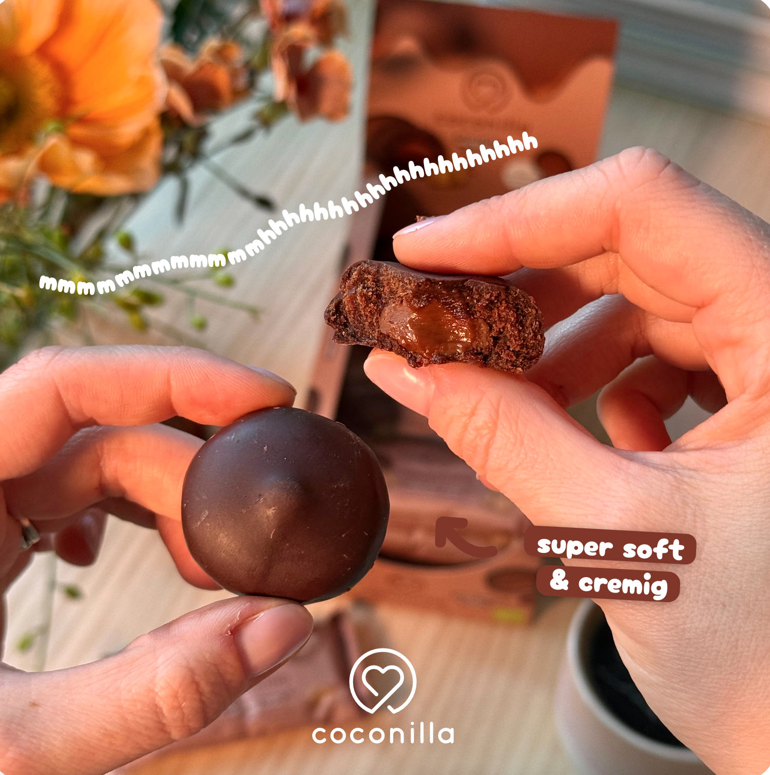 BIO - Dattelpralinen Hazelnut Choc - 12er Box