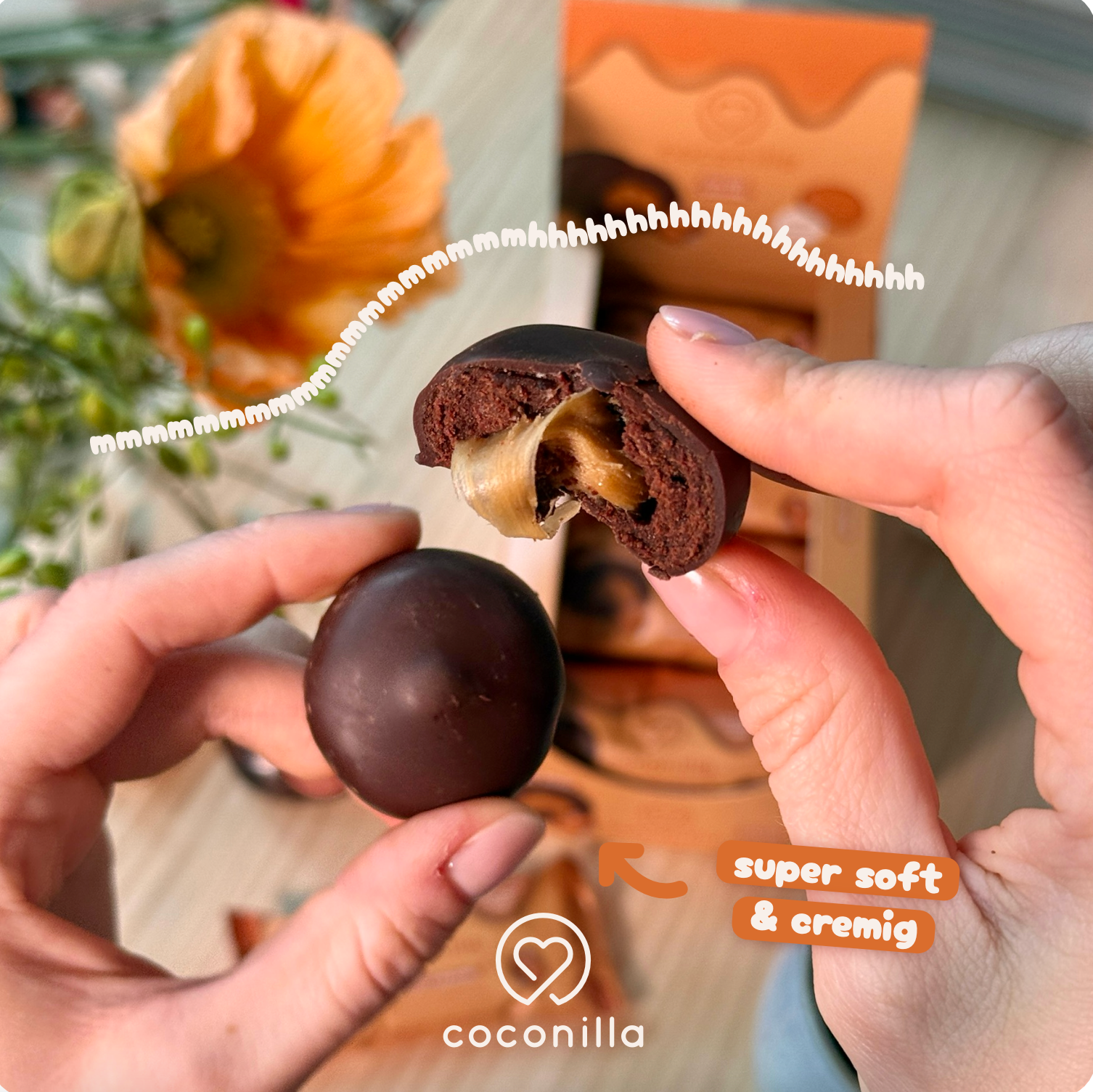 BIO - Dattelpralinen Salted Caramel - 12er Box