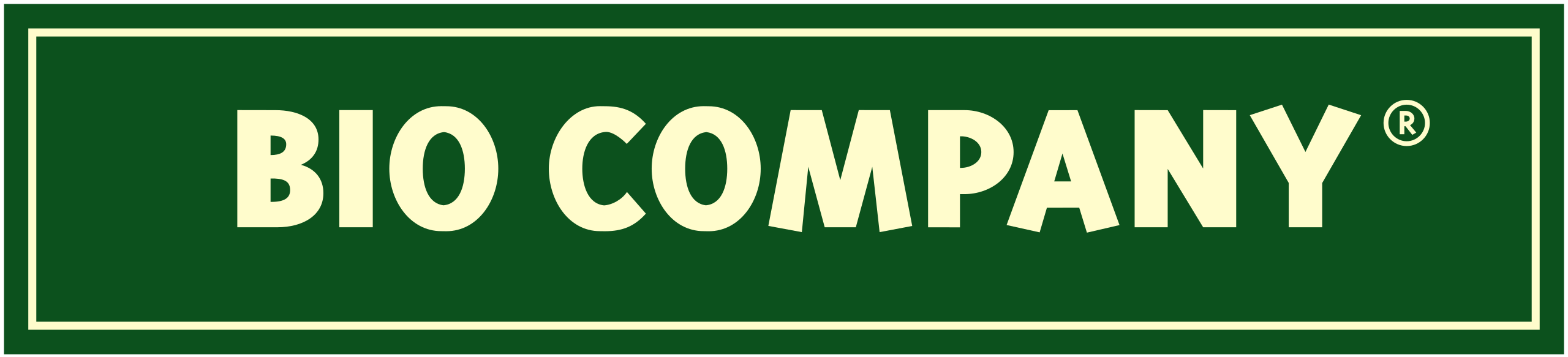 Partner Logo