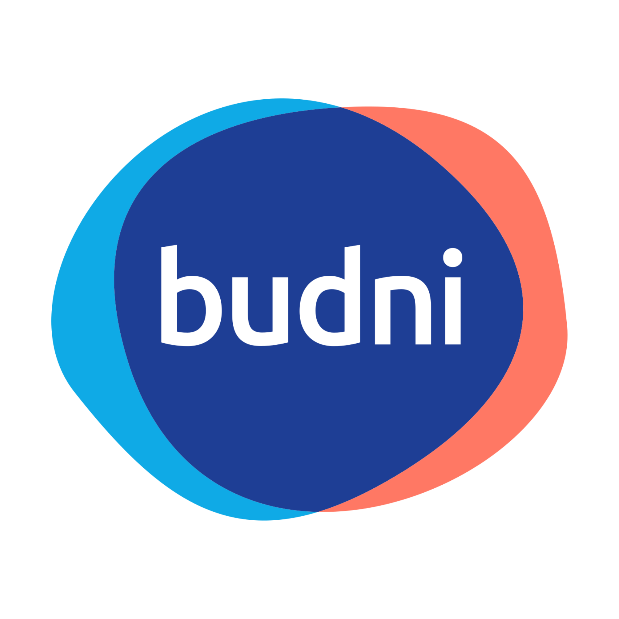 Budni Logo